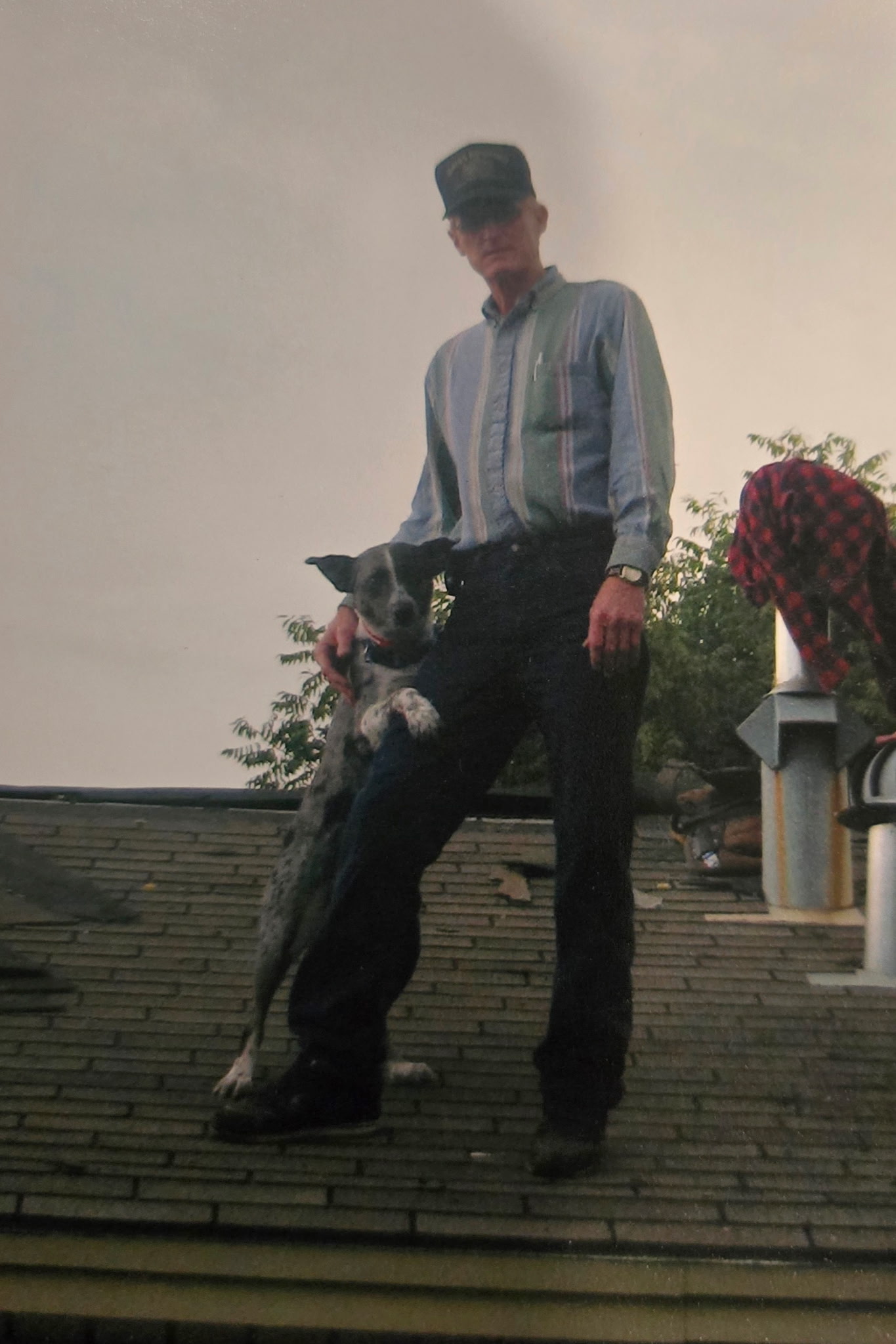 An older man in a striped shirt and cap stands on a roof